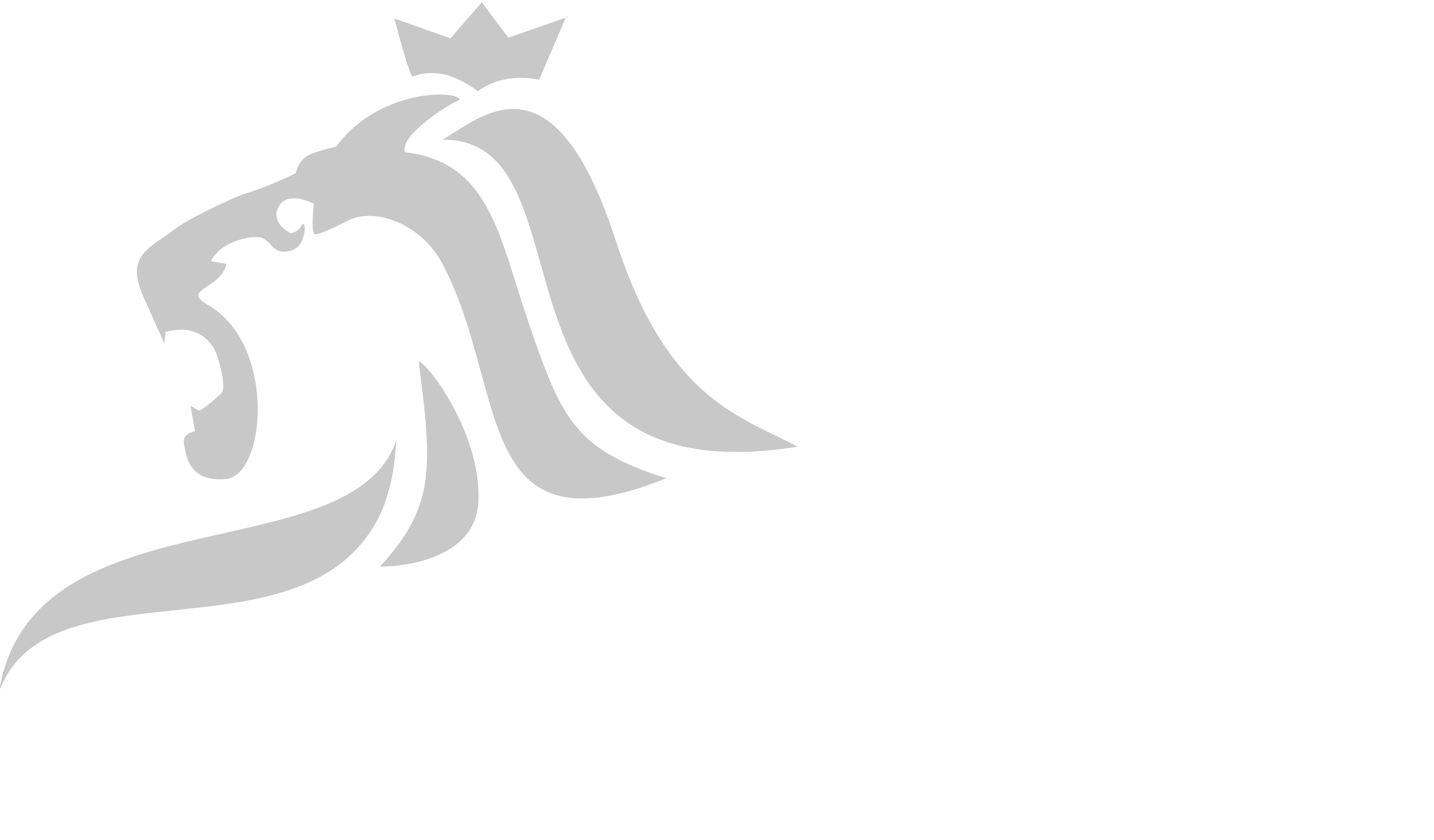 Luxembourg City logo
